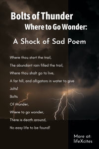 Bolts-of-Thunder-Where-to-Go-Wonder-A-Shock-of-Sad-Poem